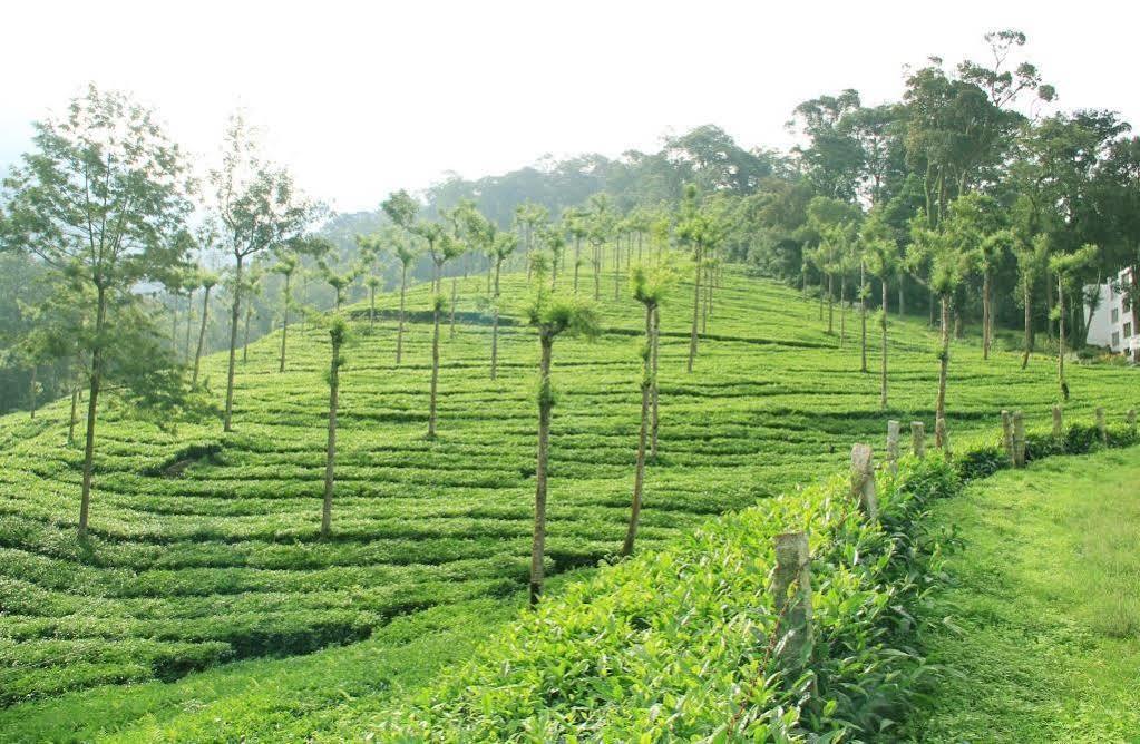 T Cherry Villa Munnar Exterior foto